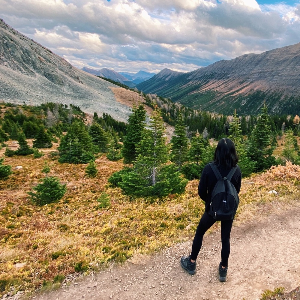 Meet your Posher, Alex